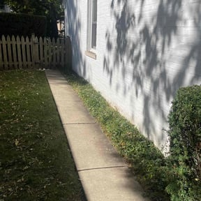 Landscaping by 4brothers reviewed on June 30, 2020