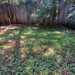 Cleanups by Jose Martinez Landscape Services reviewed on March 26, 2025