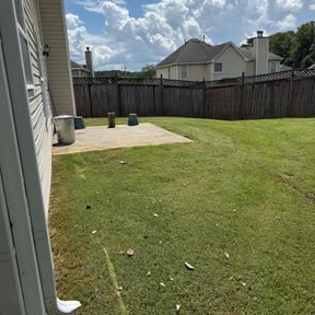 Bush Trimming by Jae The Gardener reviewed on June 20, 2022