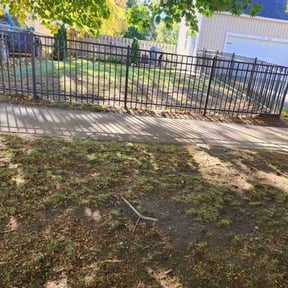 Leaf Removal by Walt&#039;s Lawn Care reviewed on October 11, 2024