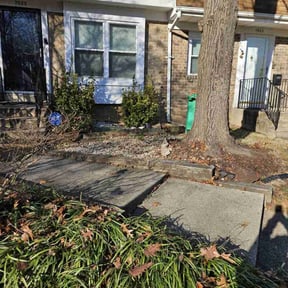 Leaf Removal by Tina Herman reviewed on June 9, 2022