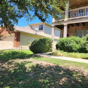 Bush Trimming by Wildflower Lawn Care Company reviewed on November 28, 2022