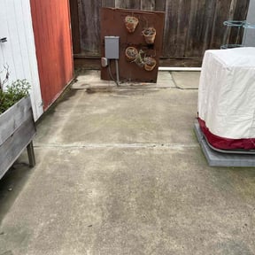 Flower Bed Weeding by Chris & Tony Lawntastic service LLC reviewed on September 21, 2024