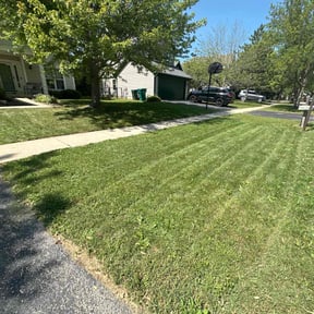 Cleanups by Solis lawn care reviewed on October 20, 2021