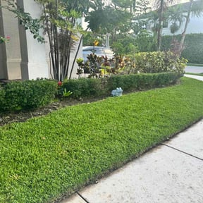 Bush Trimming by Swayne’s Lawncare LLC reviewed on June 8, 2025