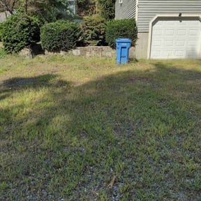 Cleanups by Lawncare By the beach reviewed on April 13, 2022