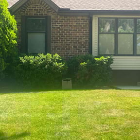 Bush Trimming by Smith Co. Lawn & Landscapes reviewed on June 5, 2021