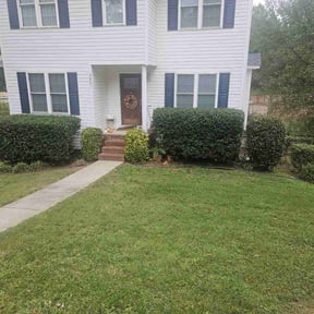 Bush Trimming by Mosey & Son Home and Lawn Care reviewed on May 28, 2022