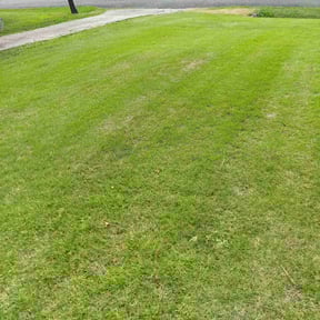 Bush Trimming by Robert Dukes Kut Pro Lawn Maintenance reviewed on June 1, 2022