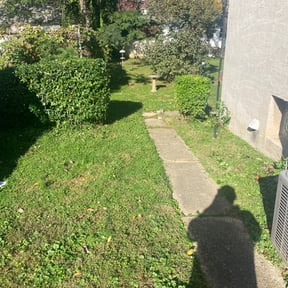 Bush Trimming by Reset ladscaping reviewed on June 21, 2022
