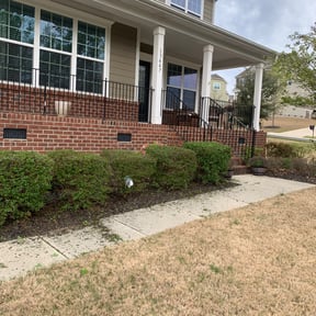 Bush Trimming by American lawn care reviewed on October 16, 2022