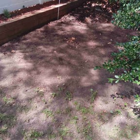 Leaf Removal by Zeroslandscape reviewed on July 11, 2022