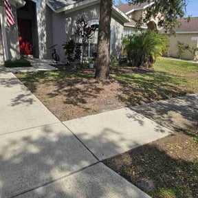 Leaf Removal by Biggs customs reviewed on July 15, 2022