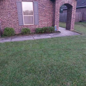 Bush Trimming by Brent's Lawn Maintenance reviewed on August 8, 2021