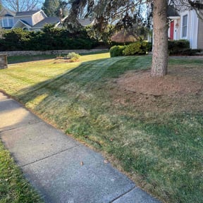 Leaf Removal by TH lawncare reviewed on June 6, 2022