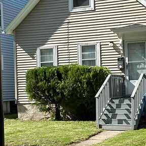 Bush Trimming by Belleaire Lawn Care reviewed on June 20, 2022