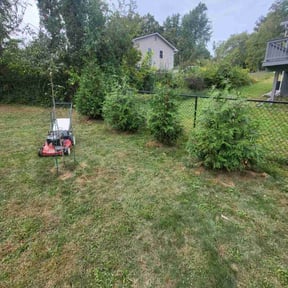 Bush Trimming by R&G Lawn care reviewed on July 21, 2022