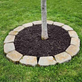 Flower Bed Weeding by Maryhaven farm reviewed on June 4, 2022