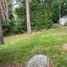 Lawn Seeding by D & C lawn care reviewed on June 26, 2022