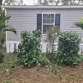 Bush Trimming by Greeley Greenscapes reviewed on April 3, 2025