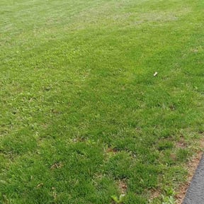 Leaf Removal by Turf and Grounds reviewed on August 26, 2024