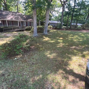 Leaf Removal by Discount Mowing reviewed on May 4, 2022