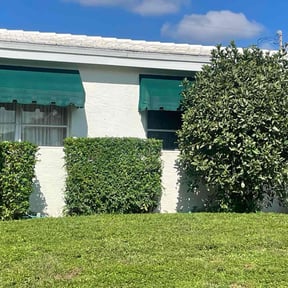 Bush Trimming by Priority Cutz Lawn Care reviewed on March 15, 2022