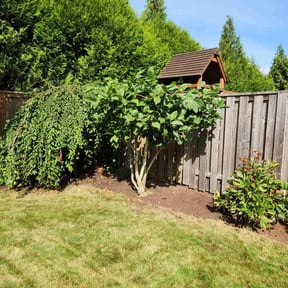 Bush Trimming by Bruce Sapp reviewed on July 13, 2022