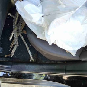 Cleanups by Cavender Landscaping reviewed on June 11, 2022