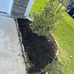 Mulching by Saraya go reviewed on January 15, 2025