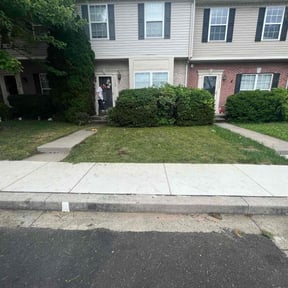 Bush Trimming by Gary Wright landscaping reviewed on May 20, 2022