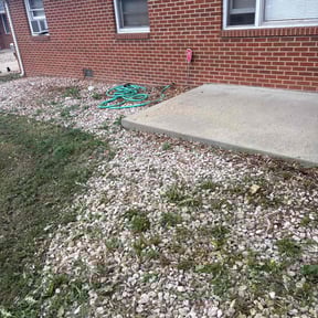 Weeding by Fresh Cut Yard Workz reviewed on October 19, 2021