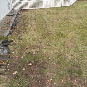 Leaf Removal by BLC3 LLC / Turf Guys reviewed on May 19, 2022