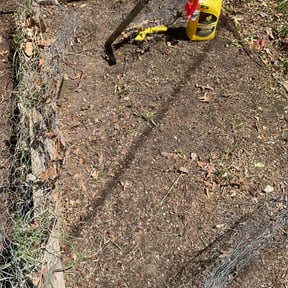 Leaf Removal by Pure Perfection Lawn care reviewed on July 22, 2020