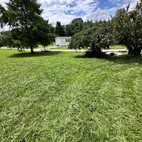 Cleanups by Green T's Lawn & Landscape reviewed on April 19, 2025