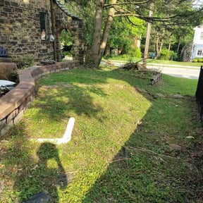 Cleanups by Lawnspire reviewed on June 27, 2022