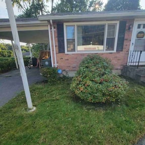 Bush Trimming by La Costa Irrigation & Landscaping LLC reviewed on March 8, 2022