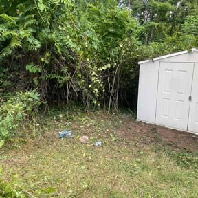 Leaf Removal by Knox Vegas Lawn Service reviewed on July 27, 2022