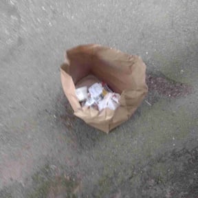 Cleanups by Regiment Property And Lawncare Inc reviewed on March 13, 2022