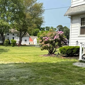 Bush Trimming by J and M Lawn Service and More LLC reviewed on July 26, 2022