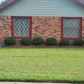 Bush Trimming by JACKSON Lawn Care reviewed on May 31, 2022