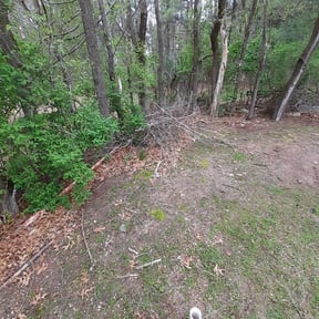 Leaf Removal by Maintenance Unlimited reviewed on June 8, 2022