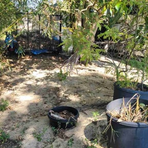Leaf Removal by Wichi landscaping reviewed on September 30, 2024