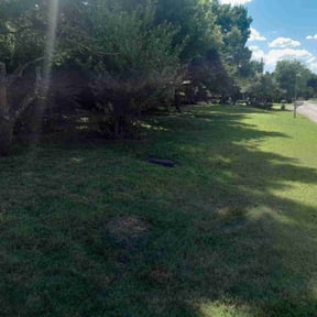 Leaf Removal by Greens Landscaping LLC reviewed on June 28, 2022