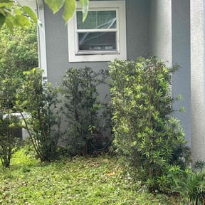 Bush Trimming by Ground Pro Maintenance, LLC. reviewed on September 22, 2021