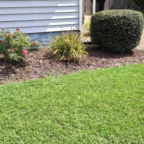 Flower Bed Weeding by Los Hombre Landscaping reviewed on December 19, 2023