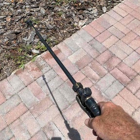 Flower Bed Weeding by Orlando Palms reviewed on July 6, 2025