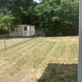 Bush Trimming by M & F Landscaping Services LLC reviewed on November 9, 2017
