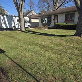 Leaf Removal by Luckys Lawn Care reviewed on December 6, 2024