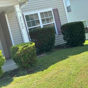 Bush Trimming by J@A Pro reviewed on May 5, 2020